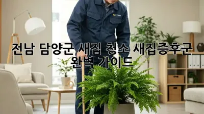 전남 담양군 새집 청소: 새집증후군 완벽 가이드