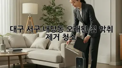대구 서구 내당동 오래된 집 악취 제거 청소