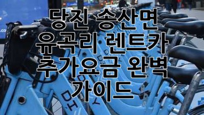 당진 송산면 유곡리 렌트카 추가요금 완벽 가이드