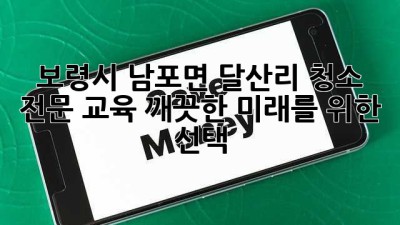 보령시 남포면 달산리 청소 전문 교육: 깨끗한 미래를 위한 선택